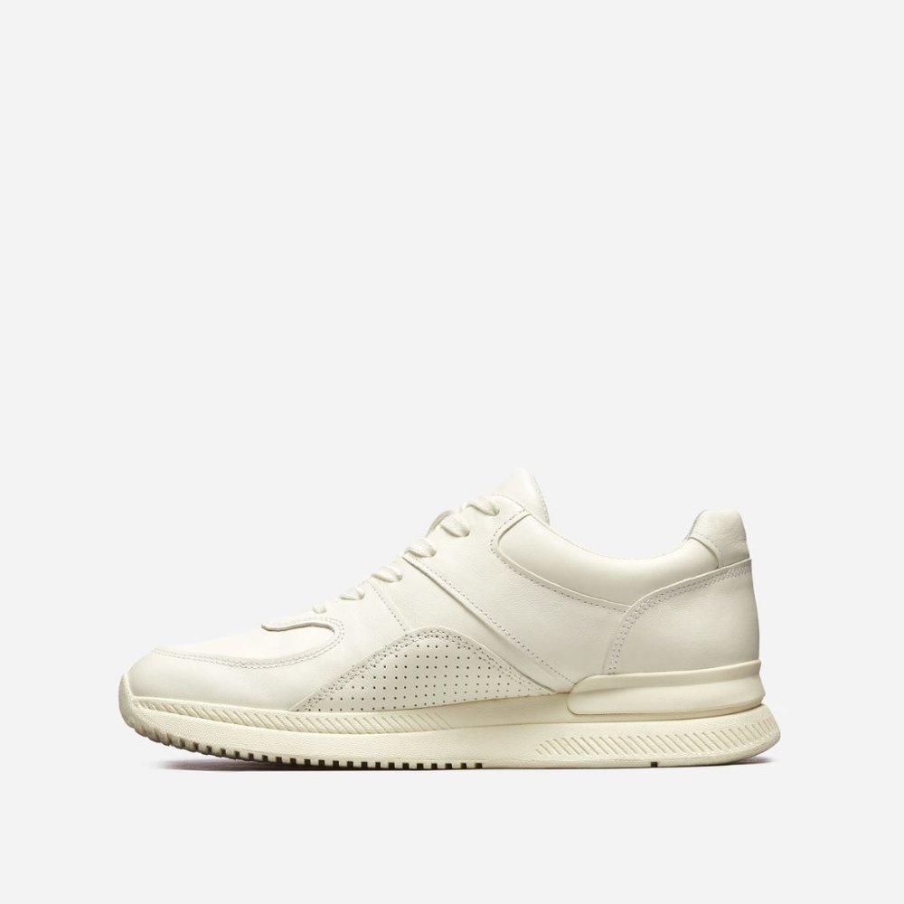 Everlane The Trainer